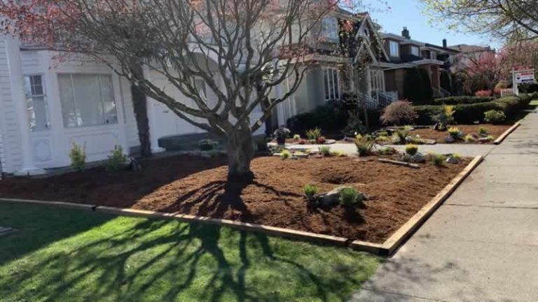 Front Yard Landscape Makeover After Photo