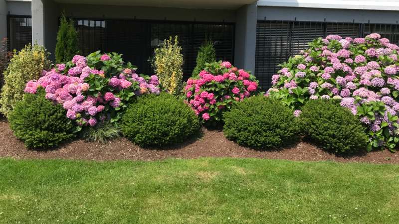 landscaping maintenance